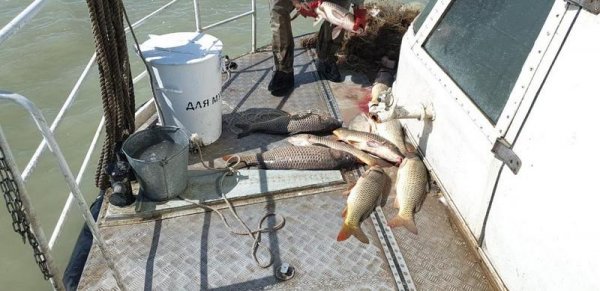 Пограничники начали «охоту» на Каспии