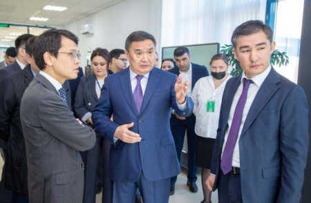 Казахстанцы смогут заказывать госномера онлайн