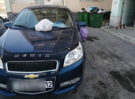 Challenge #непаркуйавтовозлемусорки