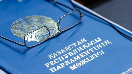 Казахстанцы смогут избрать 29 депутатов Мажилиса - министр Мусин