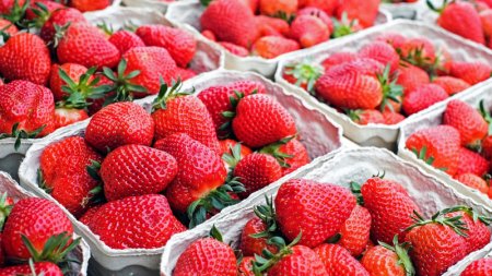 Нутрициолог назвала опасные весной фрукты и ягоды