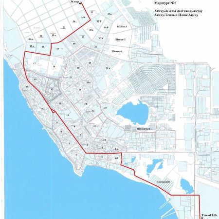 В акимате Актау предоставили расписание автобуса до «Тёплого пляжа»
