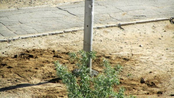 Электрики привели в порядок фонарный столб в Актау