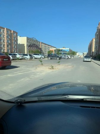 Озеленение по-актауски