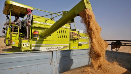 Индия ввела запрет на экспорт пшеницы