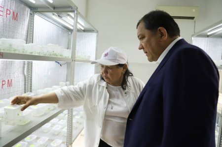 Нурлан Ногаев поручил активно применять научно-практический  подход при озеленении города Актау