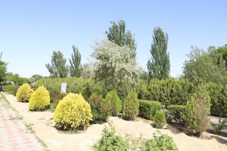 Нурлан Ногаев поручил активно применять научно-практический  подход при озеленении города Актау