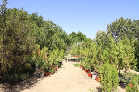 Нурлан Ногаев поручил активно применять научно-практический  подход при озеленении города Актау