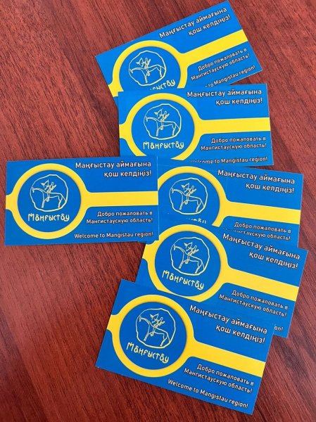 Полиция раздаёт визитки водителям при въезде в Мангистау