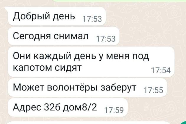 Автомобильный мотор с сюрпризом ВИДЕО