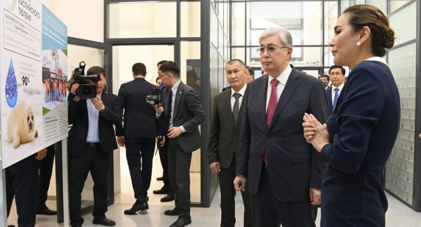 Под личный контроль проблему с каспийскими тюленями взял Касым-Жомарт Токаев