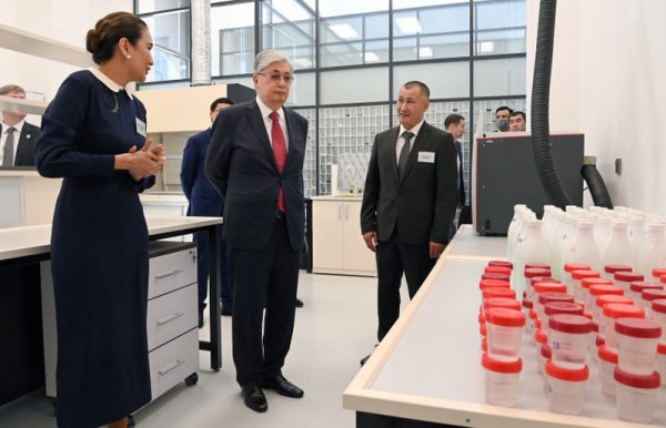 Под личный контроль проблему с каспийскими тюленями взял Касым-Жомарт Токаев