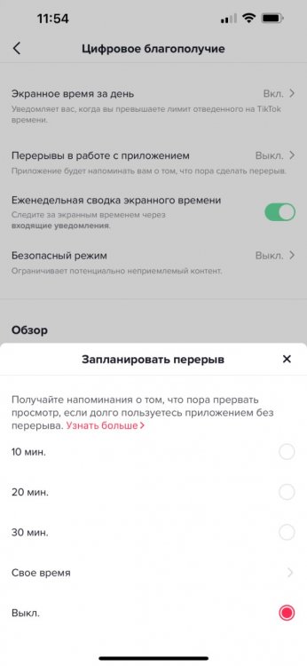 TikTok запускает новые инструменты для мониторинга и ограничения экранного времени