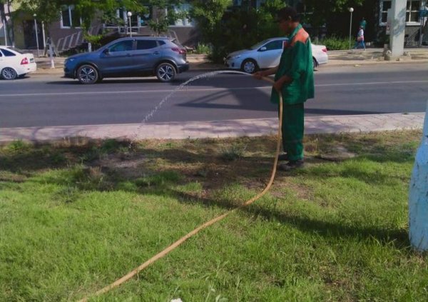 Деревья в Актау начали поливать в рамках ГЧП