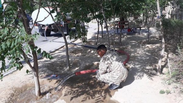 Деревья в Актау начали поливать в рамках ГЧП