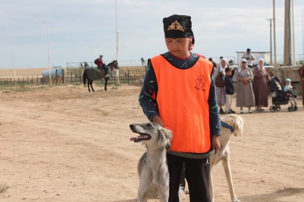 Лучших всадников и скакунов выбрали в Жанаозене