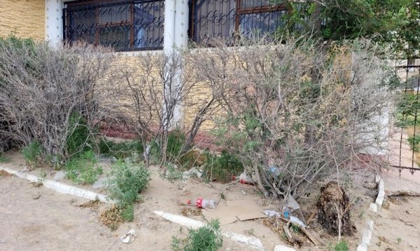 Владельцы кафе проигнорировали просьбу чиновников в Актау