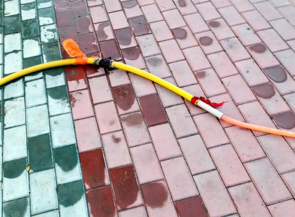 Туи высыхают в центре Актау