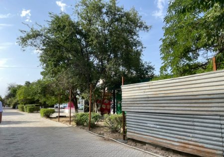 Жители Актау опасаются спила деревьев из-за ограждений вокруг магазина