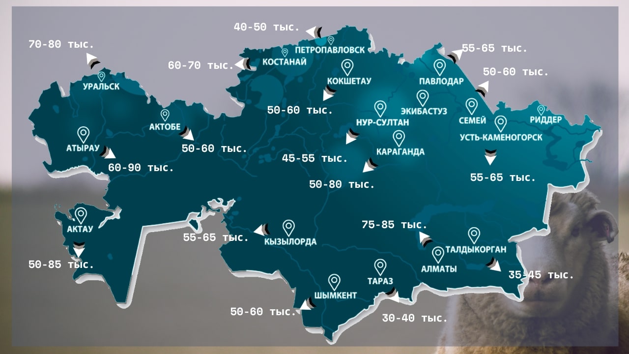 Стоимость овец в преддверии Курбан-айта назвали в Актау