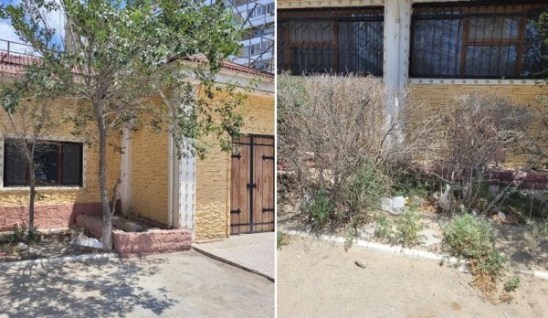 Кафе в центре Актау продолжает игнорировать требование чиновников