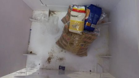 Волонтёры Актау: «Боксы для пожертвований животным превратили в урны для мусора»