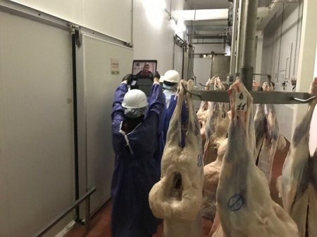 Казахстанский производитель будет поставлять колбасу и мясо на Ближний Восток