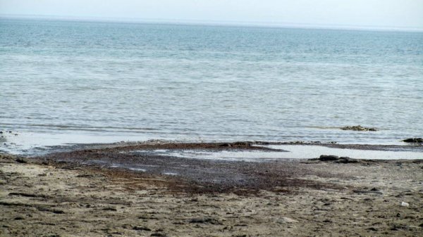 Смердящая пляжная зона в Актау - неприхотливый туристический рай