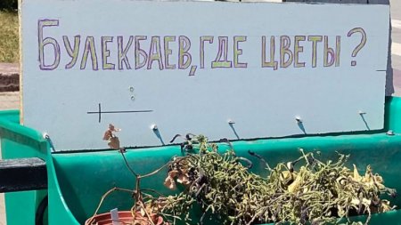 "Булекбаев, где цветы?": надпись у засохшего цветочного вазона прокомментировали в Караганде