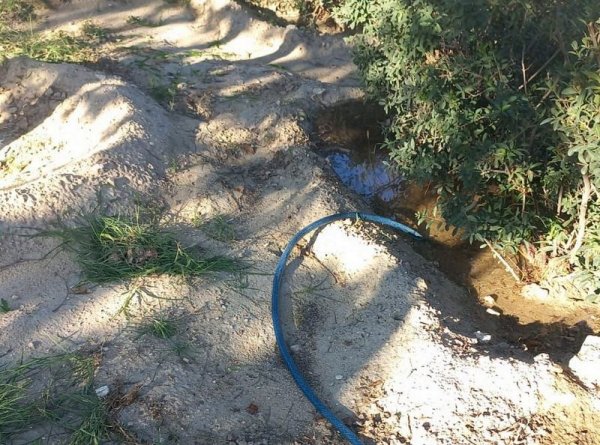 Полив отложили из-за прошедшего дождя в Актау