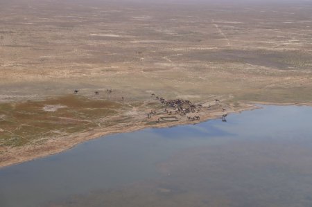 Нурлан Ногаев поручил систематизировать использование подземных источников воды в Мангистау