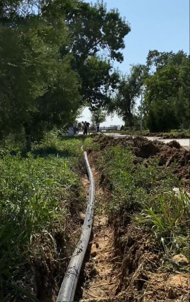 Ни одно дерево не останется без воды: в скверах Актау обещают запустить новую систему полива