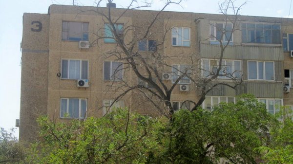 Непрофессионализмом назвали обрезку сухостоя в центре Актау