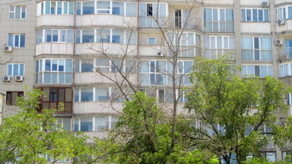 Непрофессионализмом назвали обрезку сухостоя в центре Актау