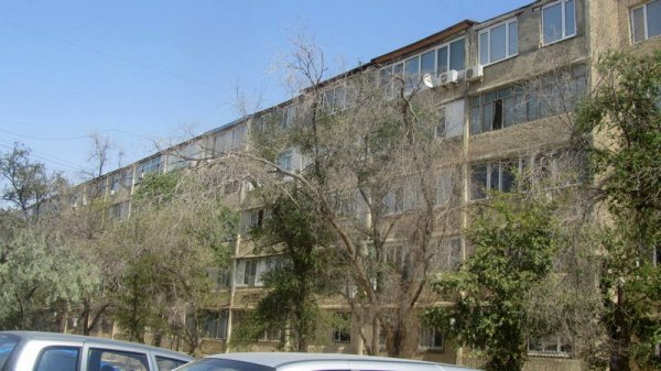 Непрофессионализмом назвали обрезку сухостоя в центре Актау