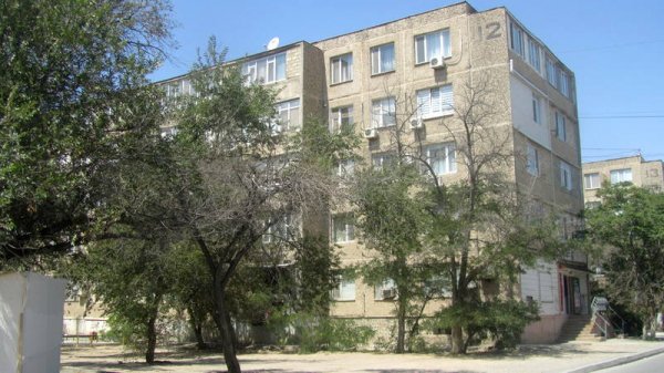 Непрофессионализмом назвали обрезку сухостоя в центре Актау