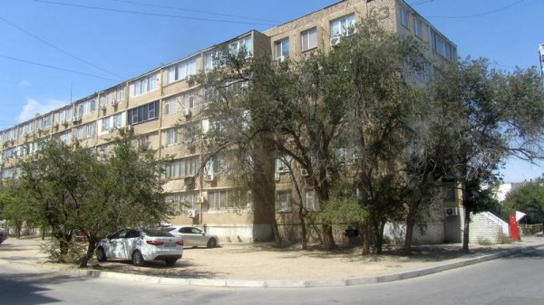 Непрофессионализмом назвали обрезку сухостоя в центре Актау