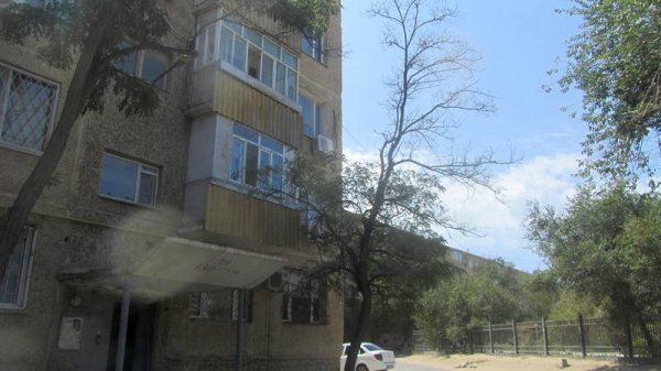 Непрофессионализмом назвали обрезку сухостоя в центре Актау