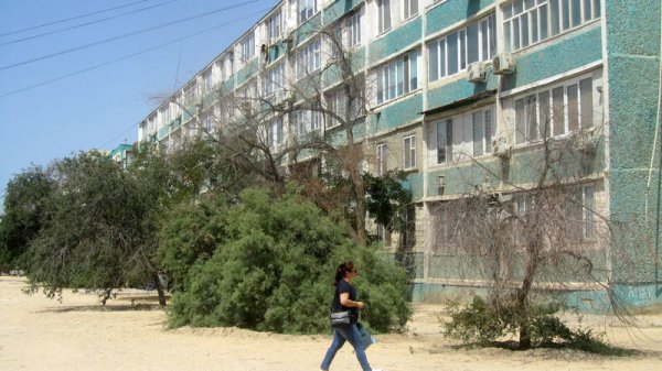 Непрофессионализмом назвали обрезку сухостоя в центре Актау