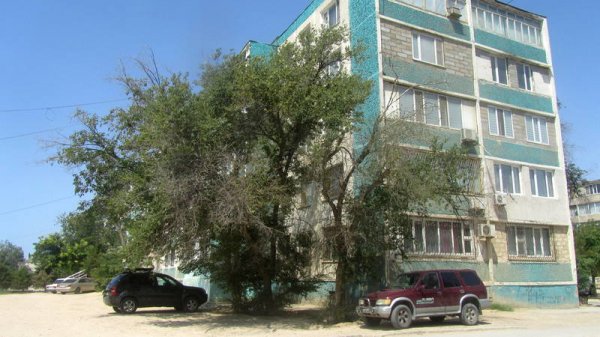 Непрофессионализмом назвали обрезку сухостоя в центре Актау