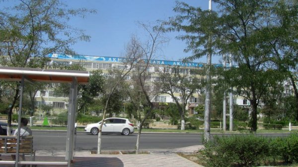 Непрофессионализмом назвали обрезку сухостоя в центре Актау