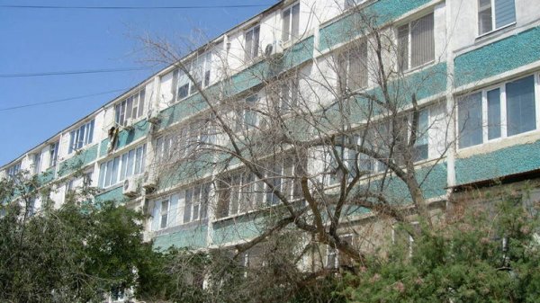 Непрофессионализмом назвали обрезку сухостоя в центре Актау