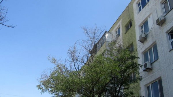 Непрофессионализмом назвали обрезку сухостоя в центре Актау