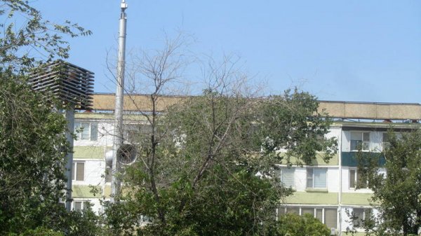 Непрофессионализмом назвали обрезку сухостоя в центре Актау