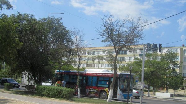 Непрофессионализмом назвали обрезку сухостоя в центре Актау