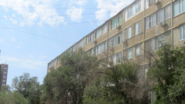 Непрофессионализмом назвали обрезку сухостоя в центре Актау