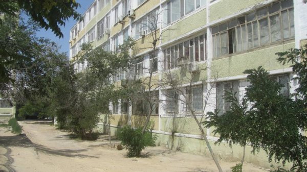 Непрофессионализмом назвали обрезку сухостоя в центре Актау