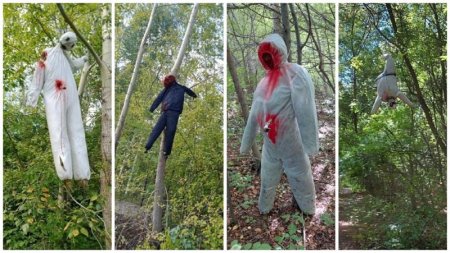 Окровавленные человеческие чучела на деревьях напугали жителей Усть-Каменогорска