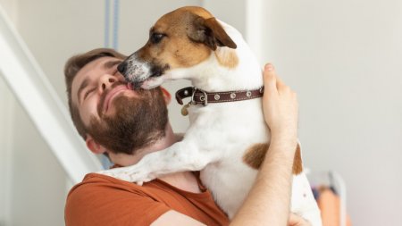 Ученые выяснили, что собаки способны плакать от счастья