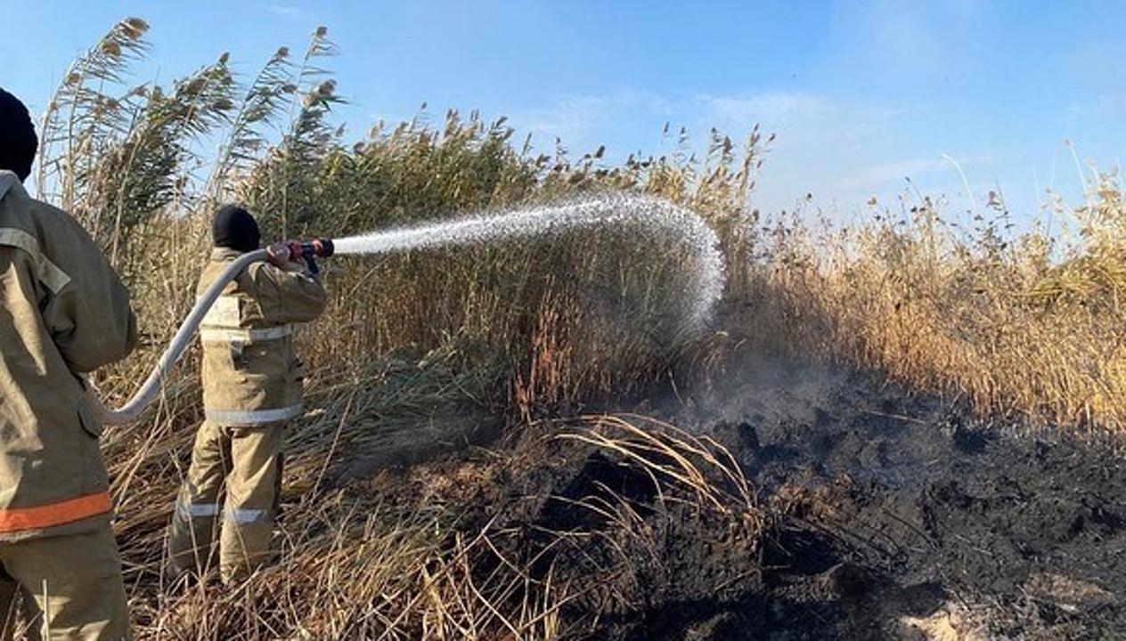 Видео прибрежного пожара в Атырауской области появилось в Сети